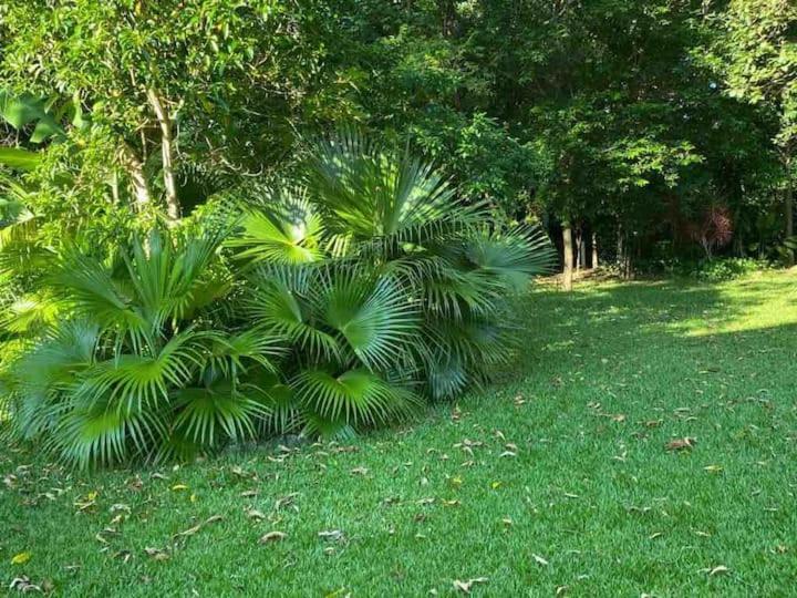 Villa Linda Casa Em Pauba Maresias C Ar, Wi Fi Cond Fechado Sao Sebastiao Extérieur photo